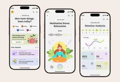 Key Features of Successful Mental Health Apps in the UAE Market